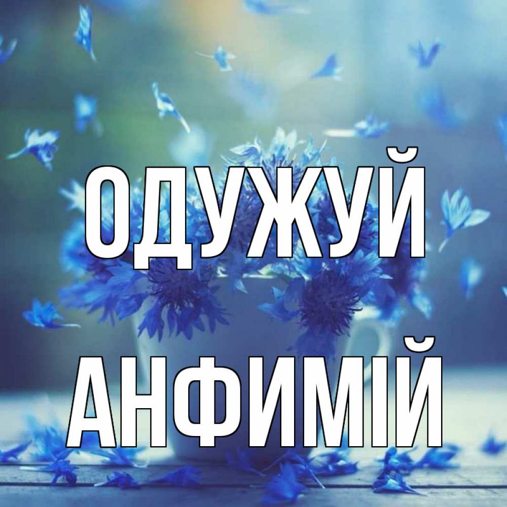 Открытка на каждый день з підписом, Анфимій Одужуй кружка с зельем и цветами Прикольна листівка з побажанням онлайн скачати безкоштовно 