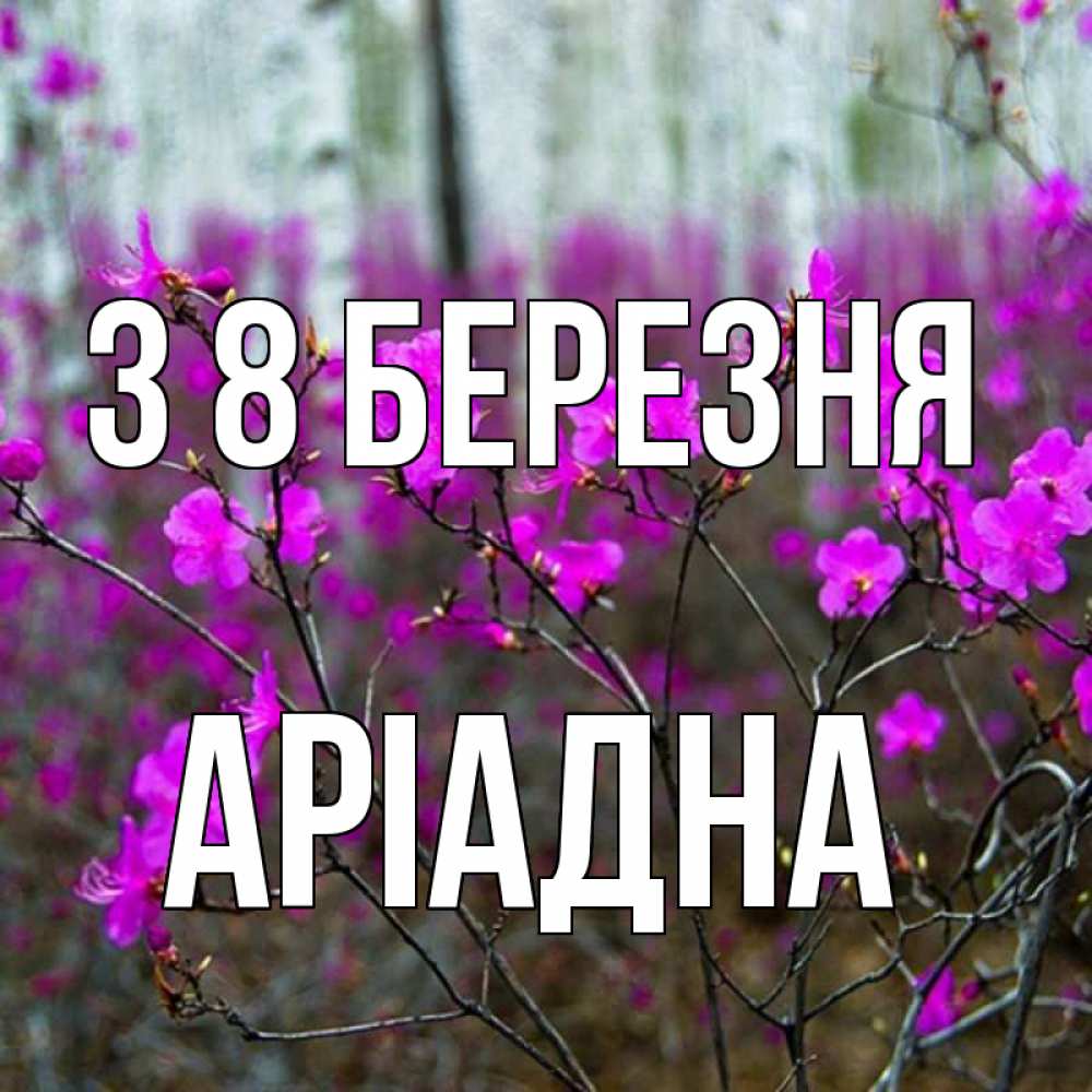 Открытка на каждый день з підписом, Аріадна З 8 БЕРЕЗНЯ дикие цветы Прикольна листівка з побажанням онлайн скачати безкоштовно 