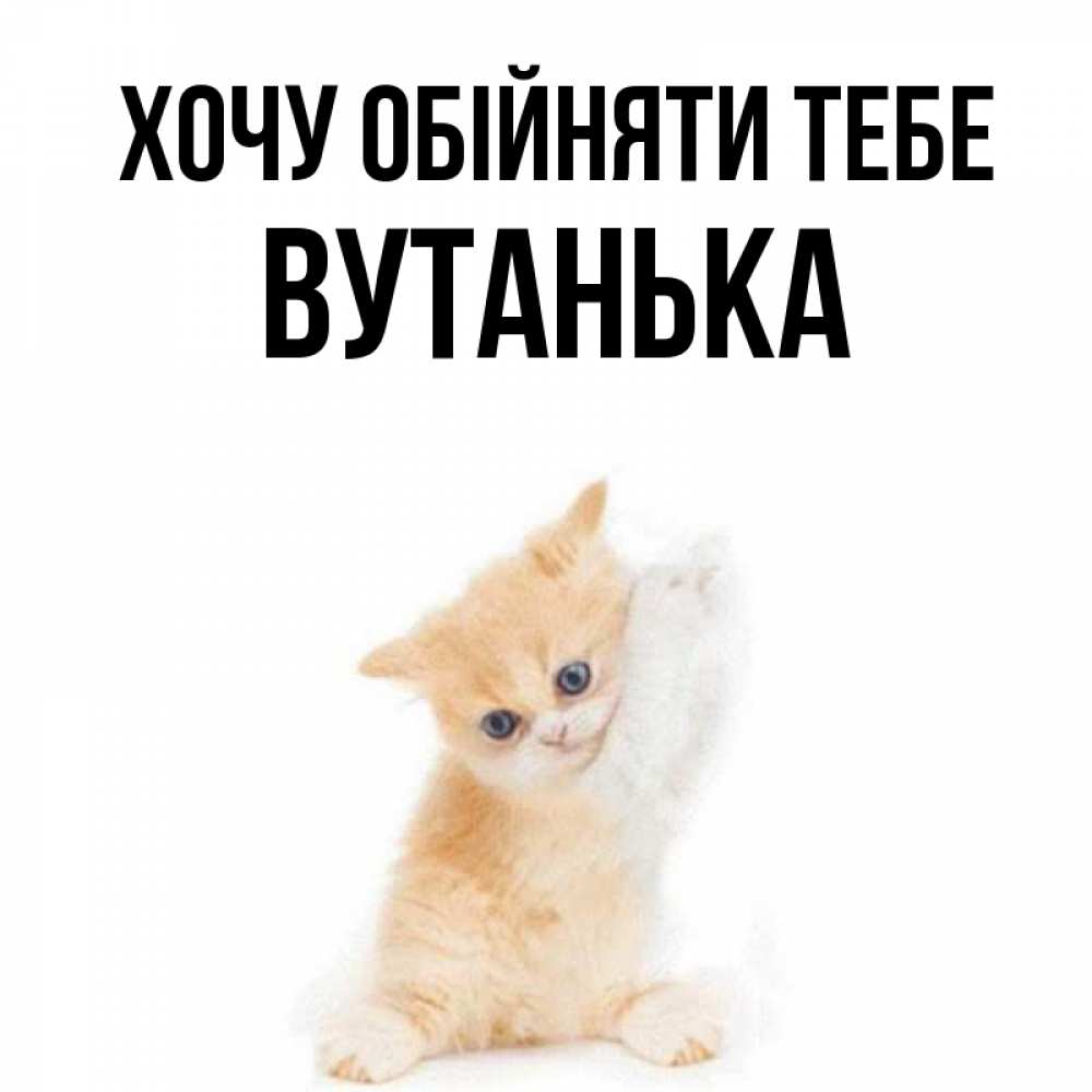 Открытка на каждый день з підписом, Вутанька Хочу обійняти тебе я хочу очень скорее обнимаешек Прикольна листівка з побажанням онлайн скачати безкоштовно 