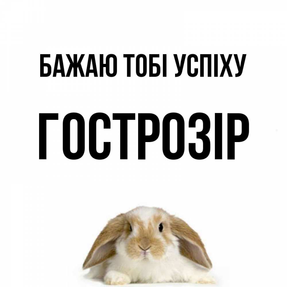 Открытка на каждый день з підписом, Гострозір Бажаю тобі успіху открытки с произвольным текстом который можно вставить в открытку и создать ее самостоятельно бесплатно онлайн Прикольна листівка з побажанням онлайн скачати безкоштовно 