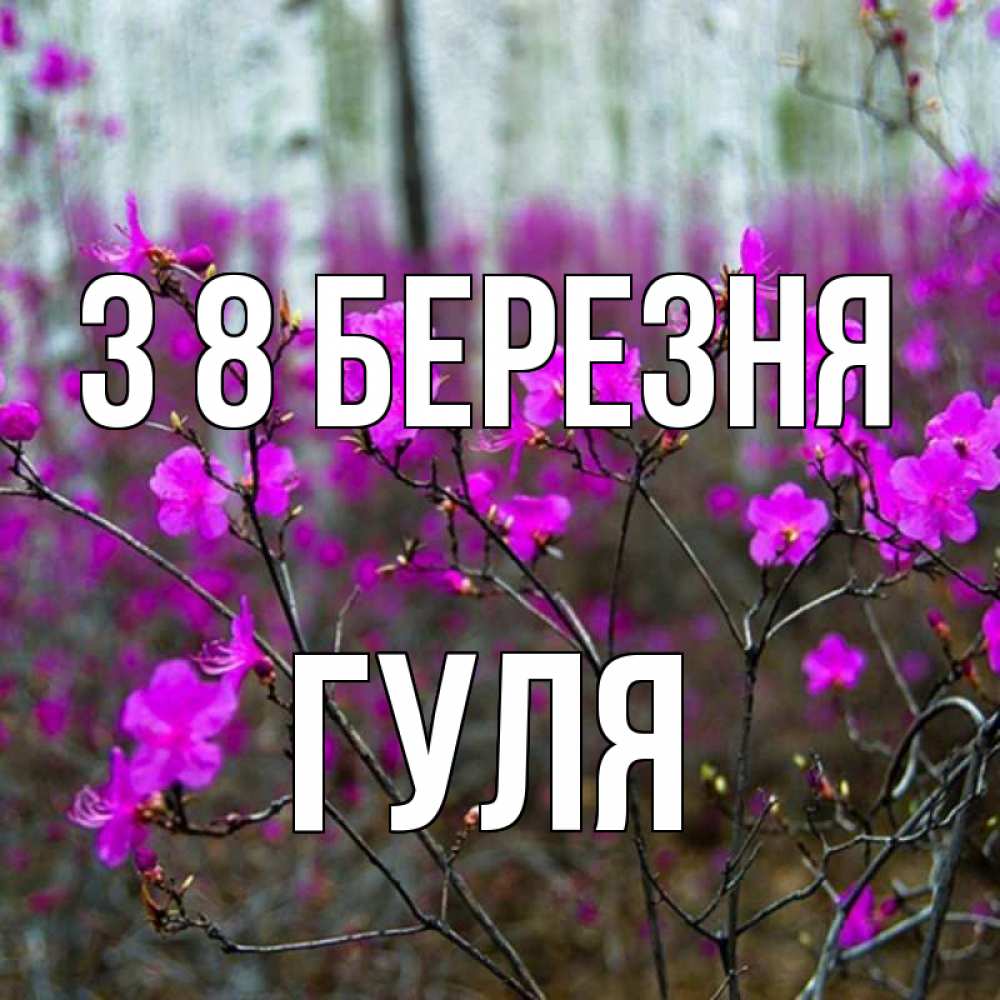Открытка на каждый день з підписом, Гуля З 8 БЕРЕЗНЯ дикие цветы Прикольна листівка з побажанням онлайн скачати безкоштовно 