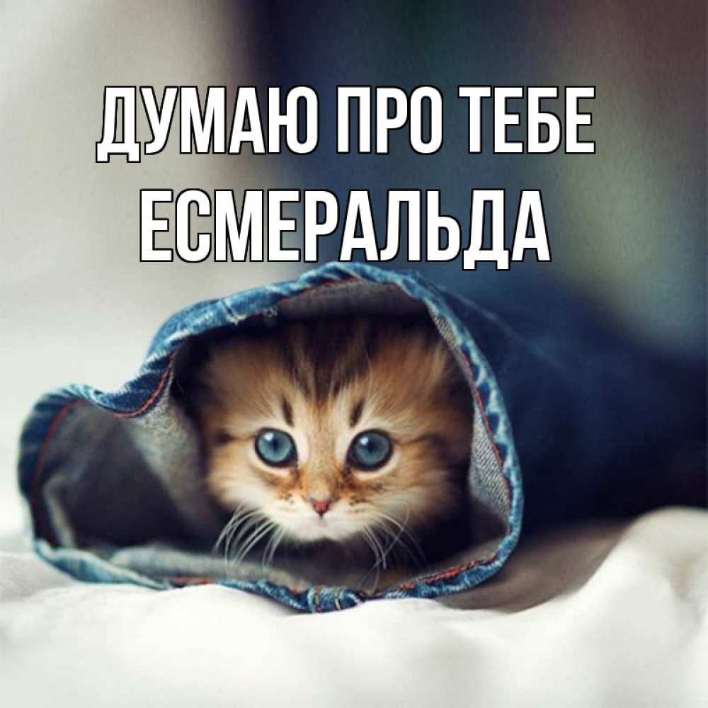 Открытка на каждый день з підписом, Есмеральда Думаю про тебе мне без тебя плохо Прикольна листівка з побажанням онлайн скачати безкоштовно 