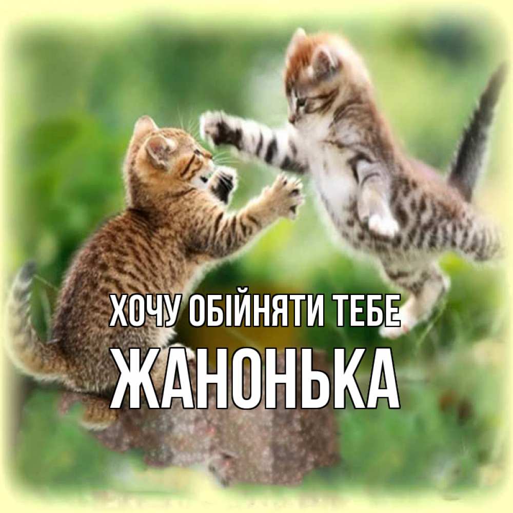Открытка на каждый день з підписом, Жанонька Хочу обійняти тебе игры котят Прикольна листівка з побажанням онлайн скачати безкоштовно 