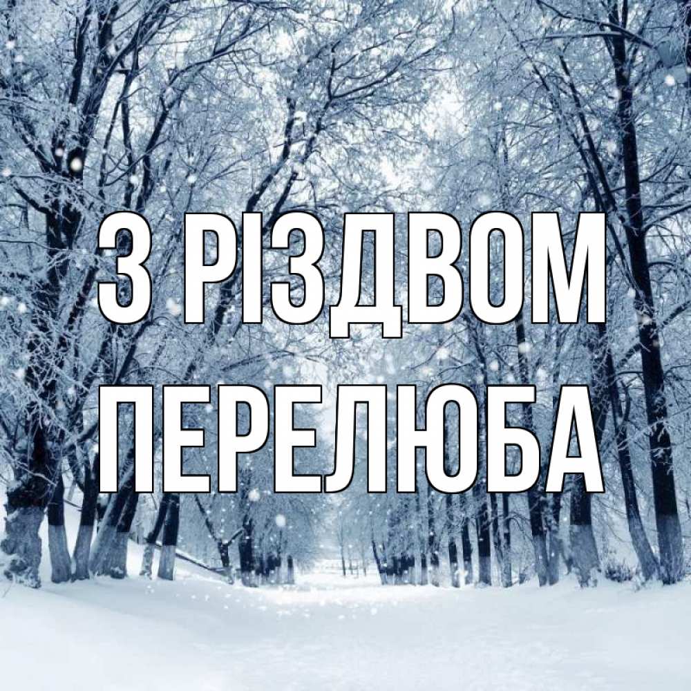 Открытка на каждый день з підписом, Перелюба З Різдвом снег, лес, парк Прикольна листівка з побажанням онлайн скачати безкоштовно 