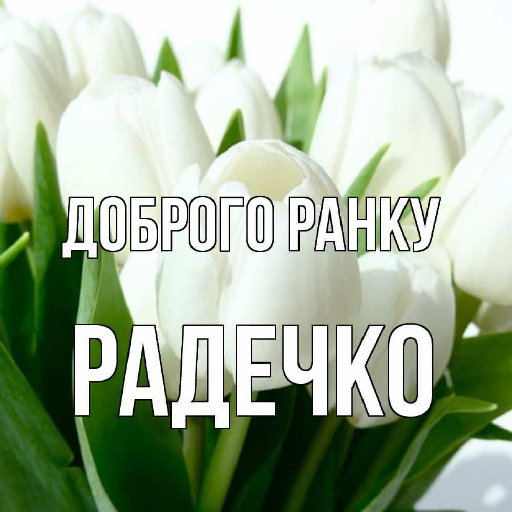 Открытка на каждый день з підписом, Радечко Доброго ранку открытки на каждый день по именам Прикольна листівка з побажанням онлайн скачати безкоштовно 