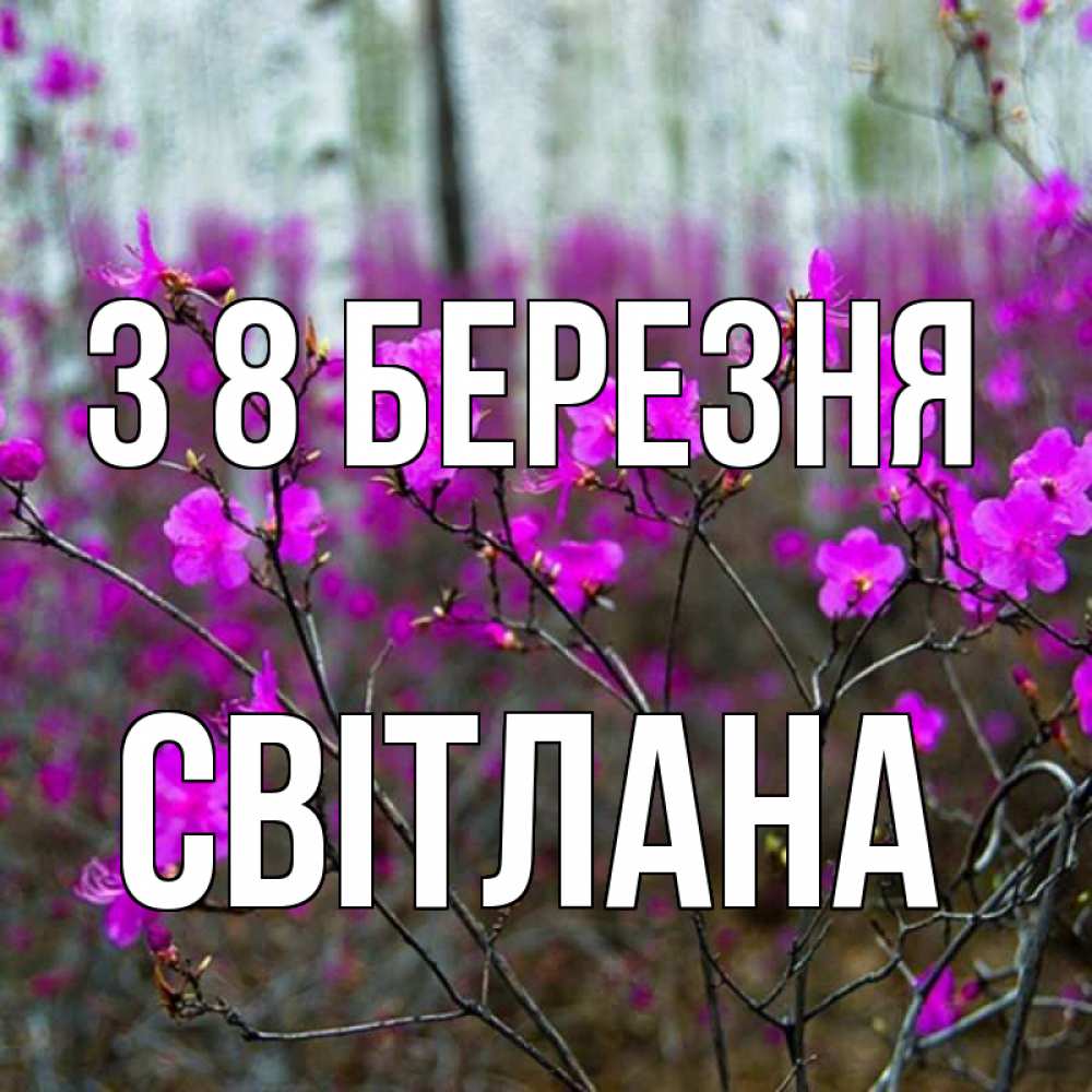 Открытка на каждый день з підписом, Світлана З 8 БЕРЕЗНЯ дикие цветы Прикольна листівка з побажанням онлайн скачати безкоштовно 