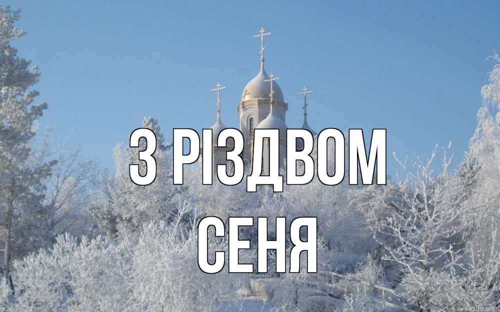 Открытка на каждый день з підписом, Сеня З Різдвом храм, зима, лес, церковь Прикольна листівка з побажанням онлайн скачати безкоштовно 