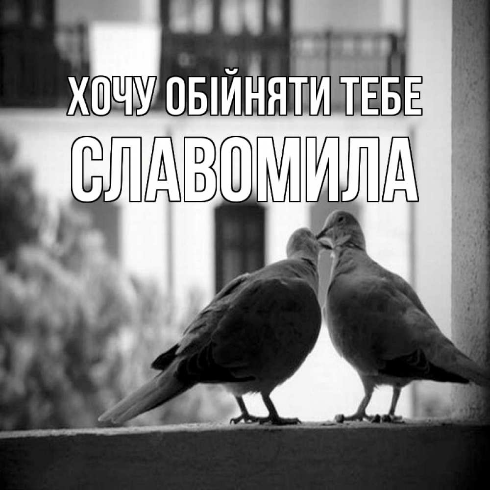 Открытка на каждый день з підписом, Славомила Хочу обійняти тебе птицы на подоконнике Прикольна листівка з побажанням онлайн скачати безкоштовно 