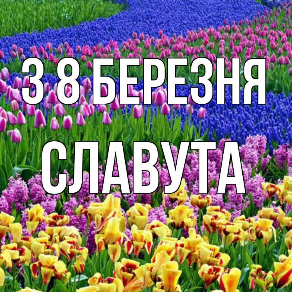 Открытка на каждый день з підписом, Славута З 8 БЕРЕЗНЯ цветы Прикольна листівка з побажанням онлайн скачати безкоштовно 