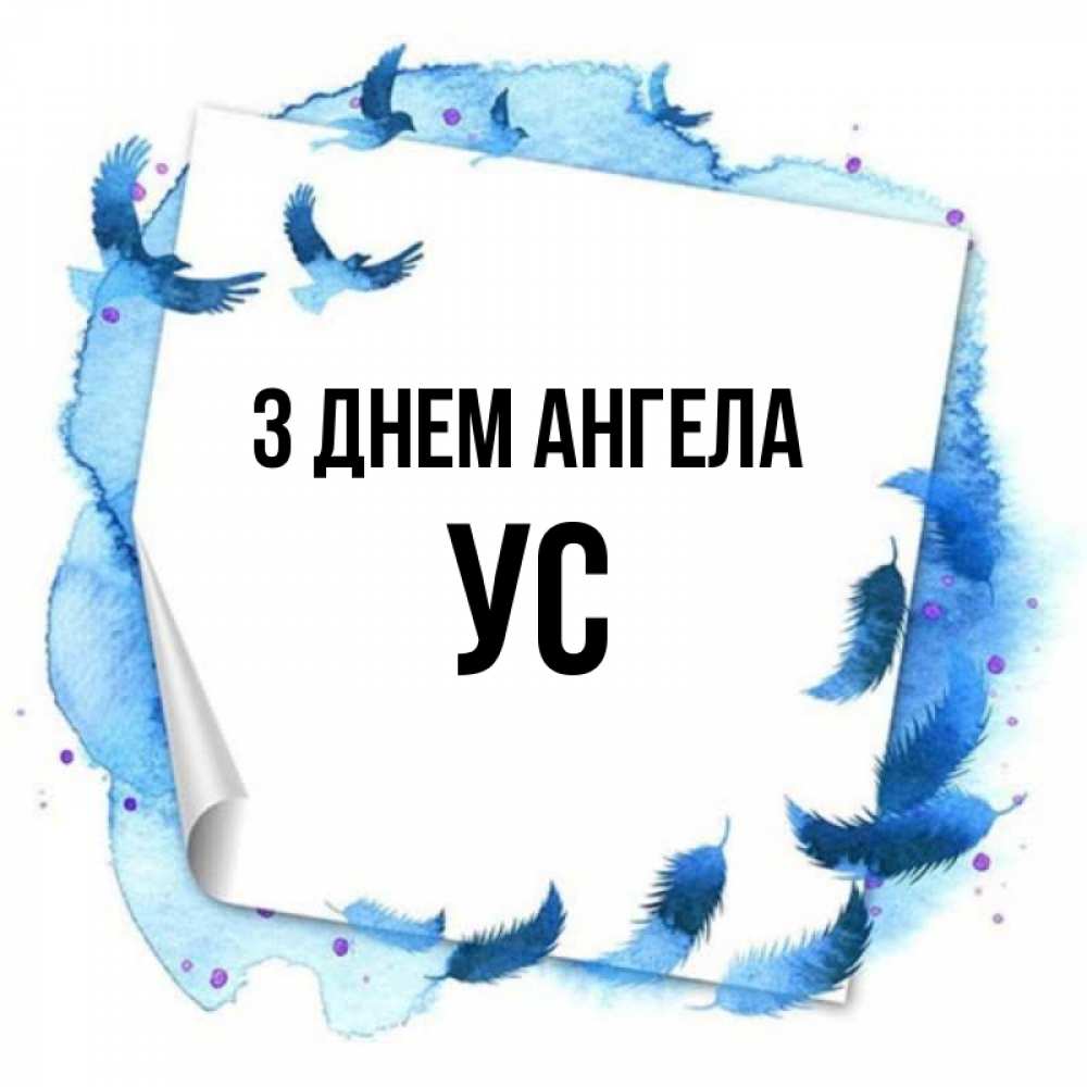 Открытка на каждый день з підписом, Ус З Днем ангела красивые птицы летят Прикольна листівка з побажанням онлайн скачати безкоштовно 