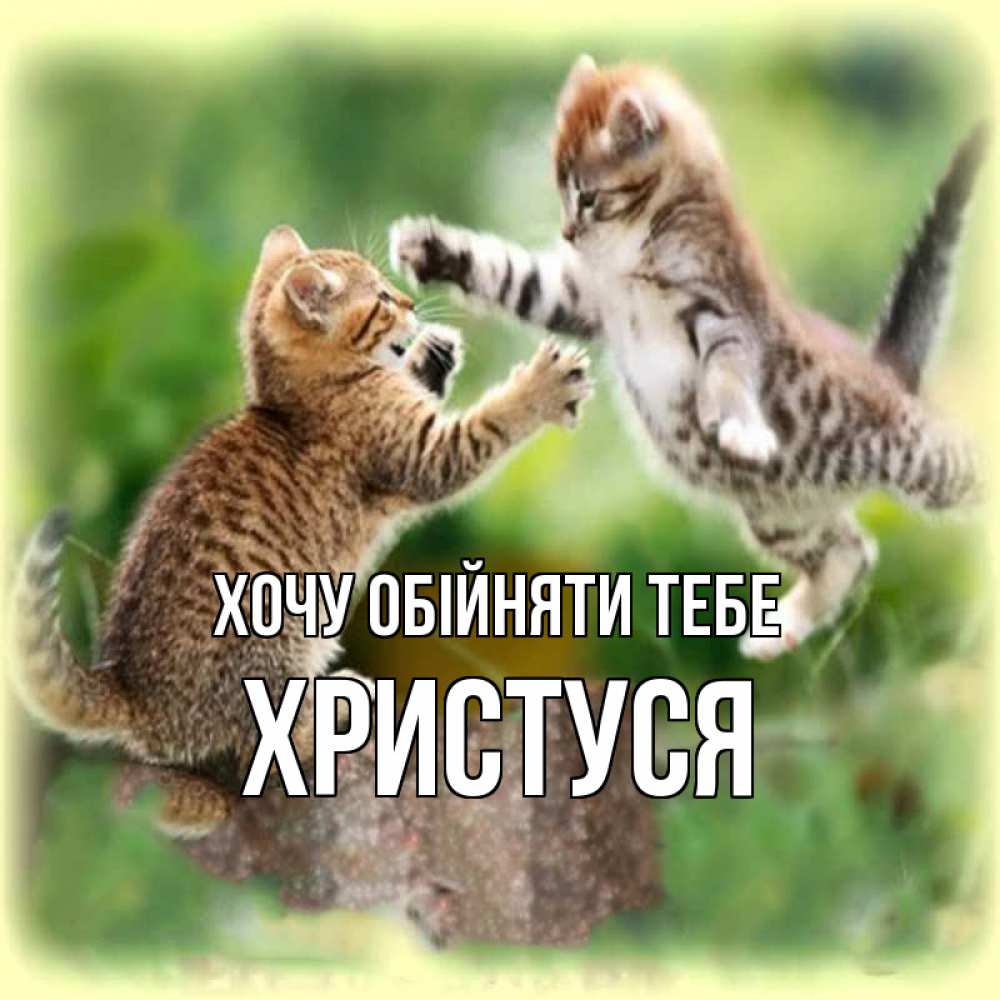 Открытка на каждый день з підписом, Христуся Хочу обійняти тебе игры котят Прикольна листівка з побажанням онлайн скачати безкоштовно 
