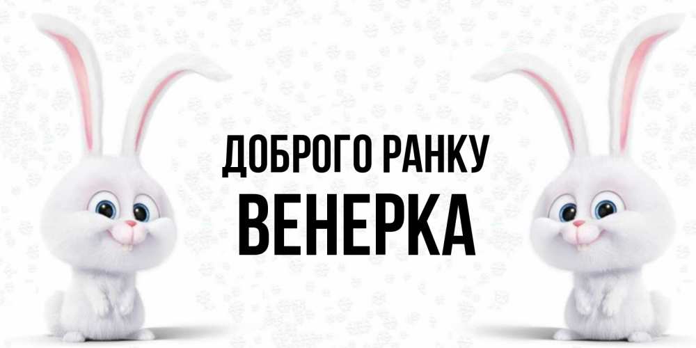 Открытка на каждый день з підписом, Венерка Доброго ранку кролики с длинными ушками Прикольна листівка з побажанням онлайн скачати безкоштовно 