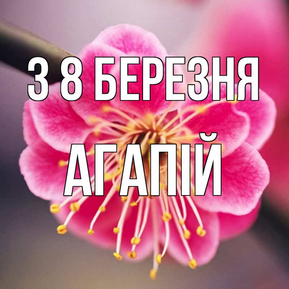 Открытка на каждый день з підписом, Агапій З 8 БЕРЕЗНЯ цветы Прикольна листівка з побажанням онлайн скачати безкоштовно 