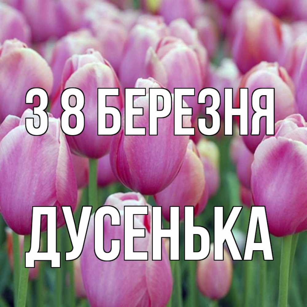 Открытка на каждый день з підписом, Дусенька З 8 БЕРЕЗНЯ на международный женский день 3 Прикольна листівка з побажанням онлайн скачати безкоштовно 