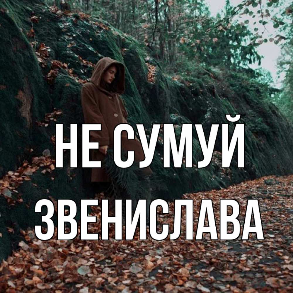 Открытка на каждый день з підписом, Звенислава Не сумуй осенний лес Прикольна листівка з побажанням онлайн скачати безкоштовно 