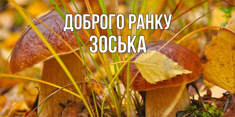 Открытка на каждый день з підписом, Зоська Доброго ранку осенние грибы Прикольна листівка з побажанням онлайн скачати безкоштовно 