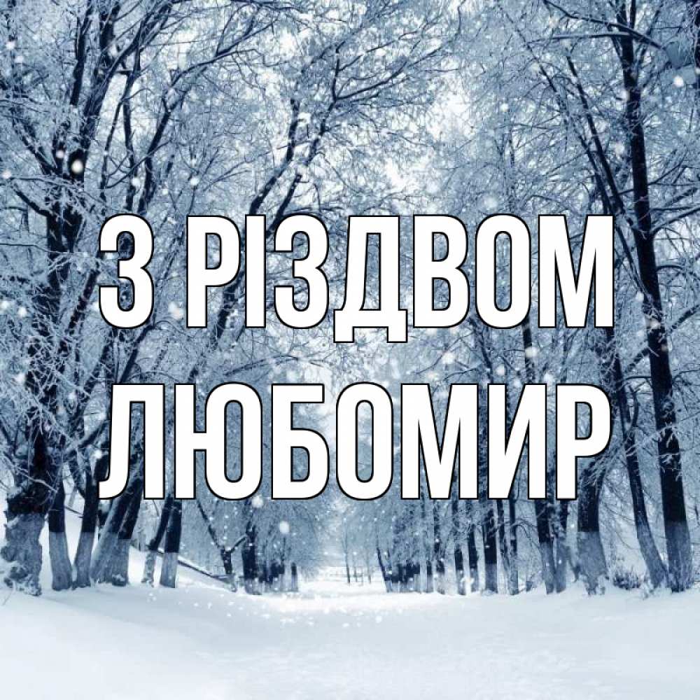 Открытка на каждый день з підписом, Любомир З Різдвом снег, лес, парк Прикольна листівка з побажанням онлайн скачати безкоштовно 