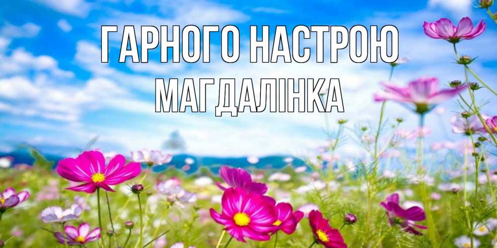 Открытка на каждый день з підписом, Магдалінка Гарного настрою поле цветов Прикольна листівка з побажанням онлайн скачати безкоштовно 
