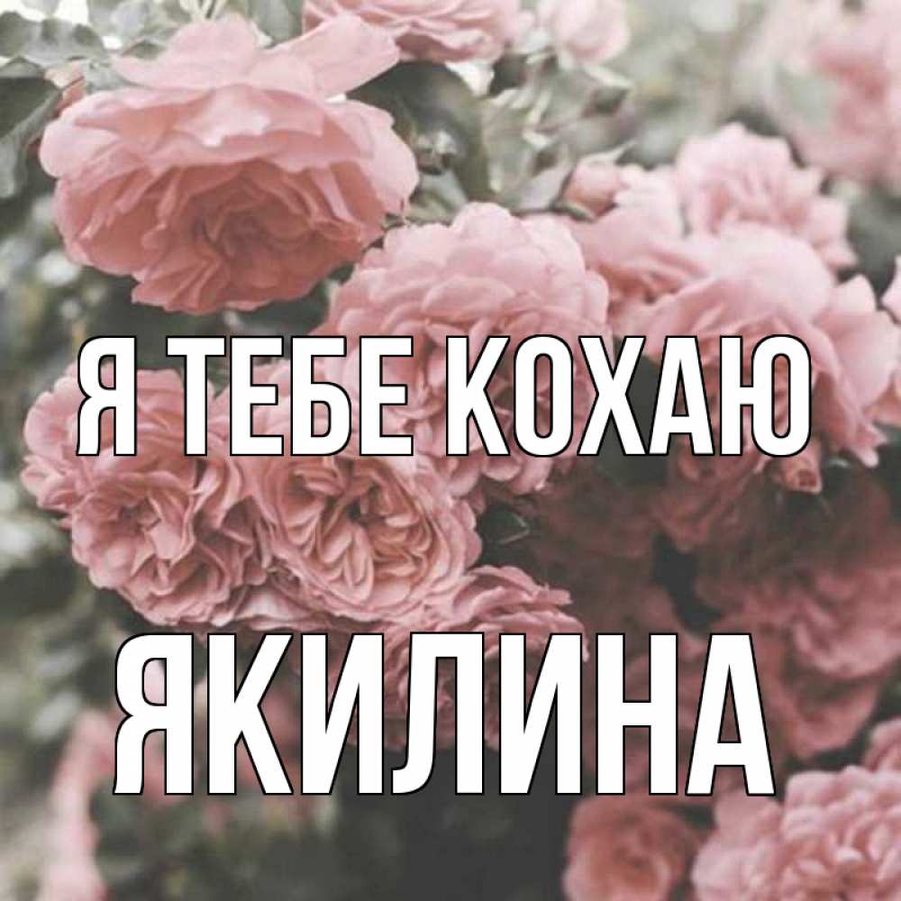 Открытка на каждый день з підписом, Якилина Я тебе кохаю розы 3 Прикольна листівка з побажанням онлайн скачати безкоштовно 