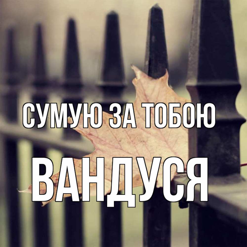 Открытка на каждый день з підписом, Вандуся Сумую за тобою очень скучно Прикольна листівка з побажанням онлайн скачати безкоштовно 