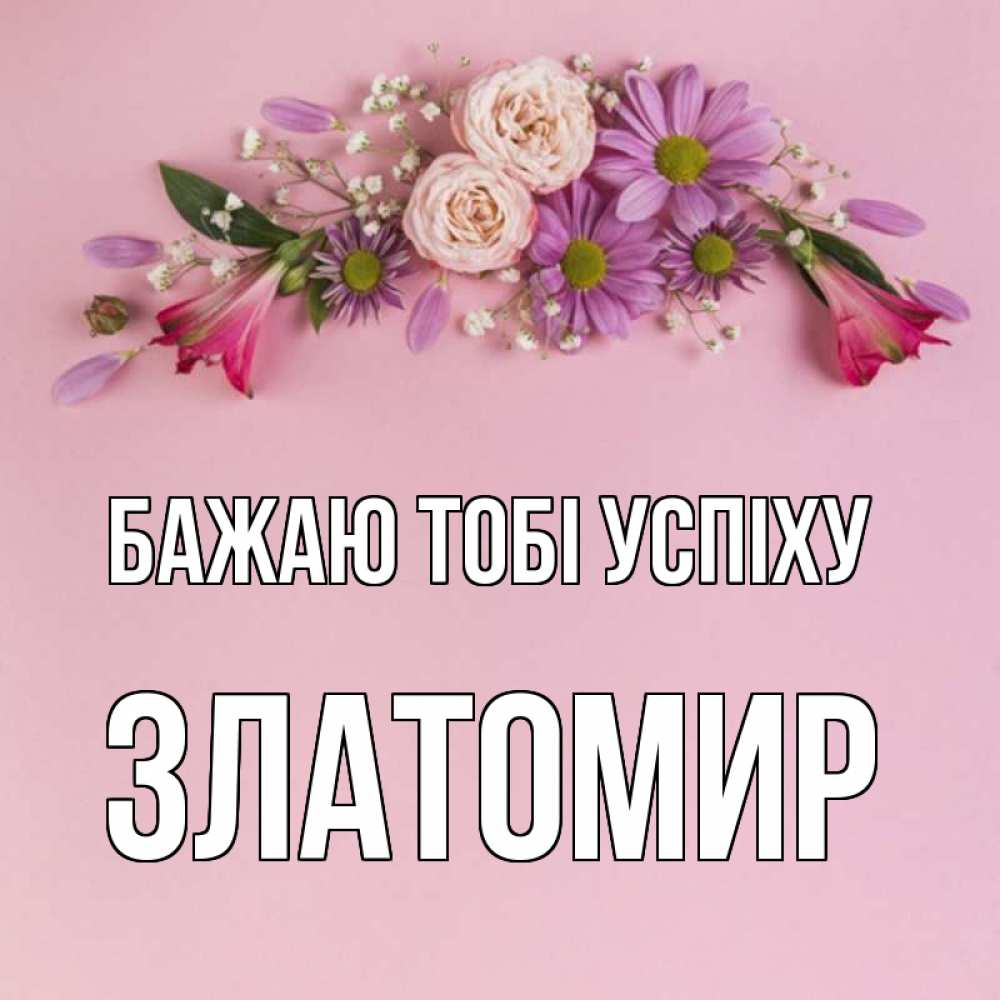 Открытка на каждый день з підписом, Златомир Бажаю тобі успіху розовый фон Прикольна листівка з побажанням онлайн скачати безкоштовно 