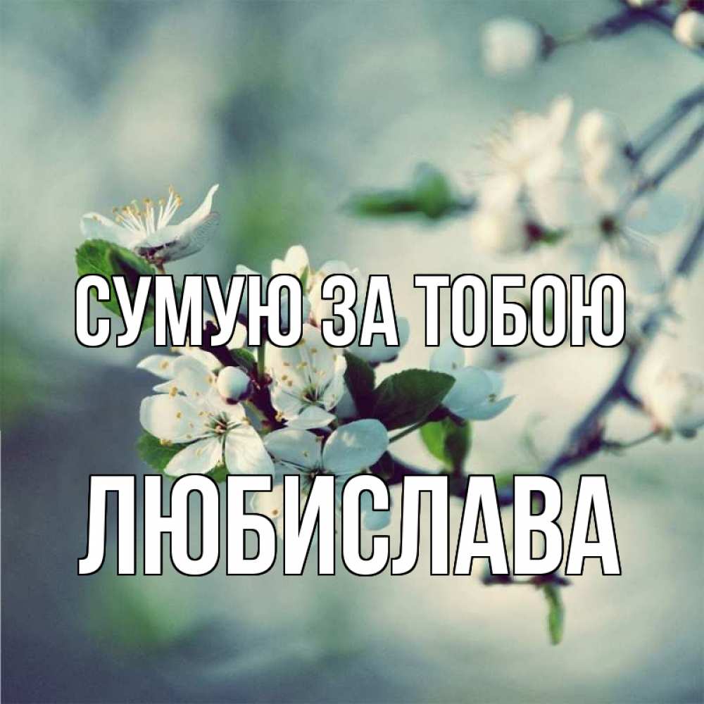 Открытка на каждый день з підписом, Любислава Сумую за тобою весна Прикольна листівка з побажанням онлайн скачати безкоштовно 