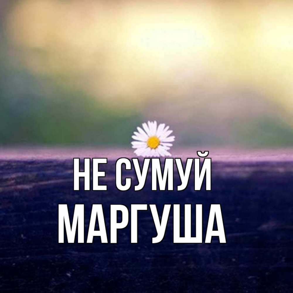 Открытка на каждый день з підписом, Маргуша Не сумуй красота Прикольна листівка з побажанням онлайн скачати безкоштовно 