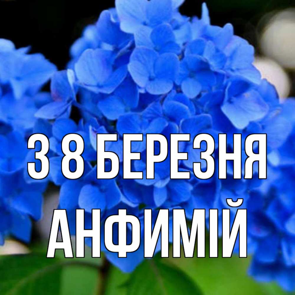 Открытка на каждый день з підписом, Анфимій З 8 БЕРЕЗНЯ синие цветы Прикольна листівка з побажанням онлайн скачати безкоштовно 