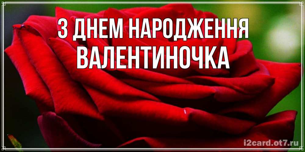 Открытка на каждый день з підписом, Валентиночка З Днем народження розочка очень красивая Прикольна листівка з побажанням онлайн скачати безкоштовно 