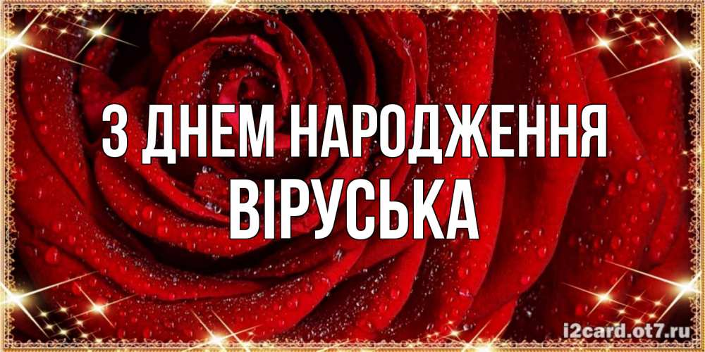 Открытка на каждый день з підписом, Віруська З Днем народження роса на розе блестящая в лучах солнца Прикольна листівка з побажанням онлайн скачати безкоштовно 