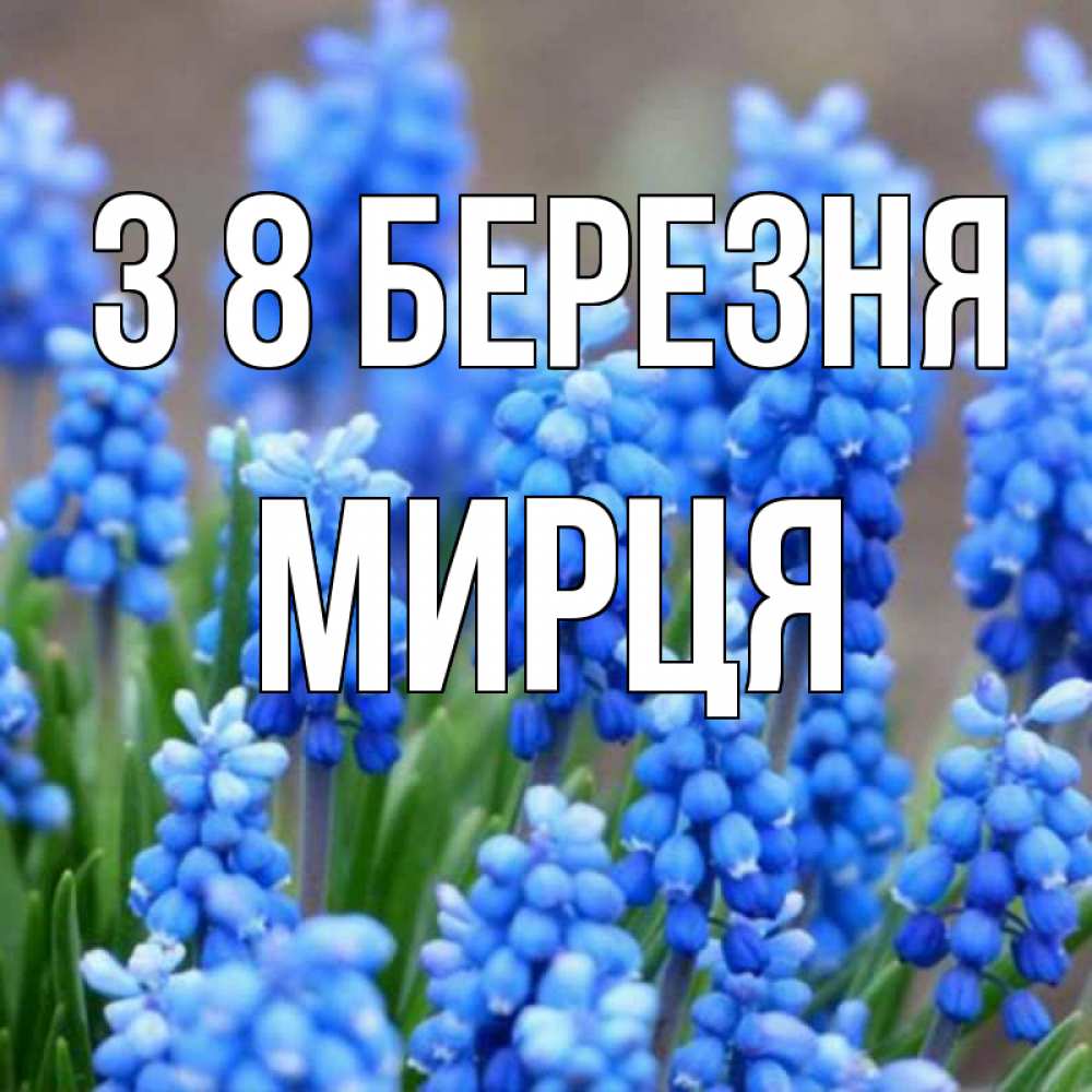 Открытка на каждый день з підписом, Мирця З 8 БЕРЕЗНЯ Поздравительная открытка для женщин с цветами на праздничную дату Прикольна листівка з побажанням онлайн скачати безкоштовно 