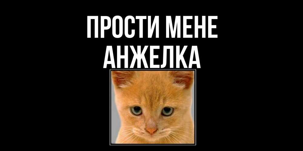 Открытка на каждый день з підписом, Анжелка Прости мене рыжий грустный кот просит прощения Прикольна листівка з побажанням онлайн скачати безкоштовно 