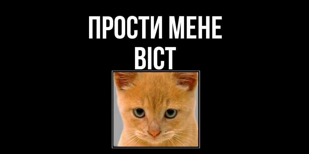 Открытка на каждый день з підписом, Віст Прости мене рыжий грустный кот просит прощения Прикольна листівка з побажанням онлайн скачати безкоштовно 