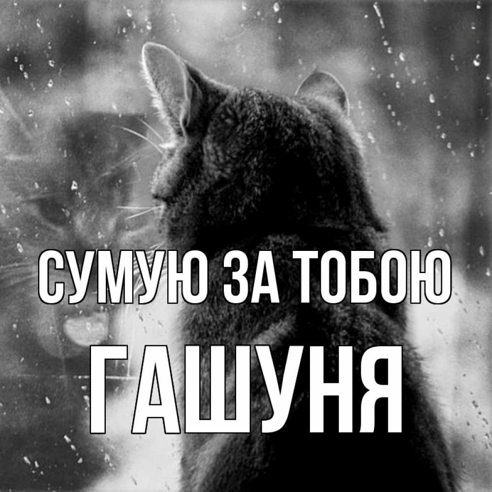 Открытка на каждый день з підписом, Гашуня Сумую за тобою скорее ко мне приходи 1 Прикольна листівка з побажанням онлайн скачати безкоштовно 