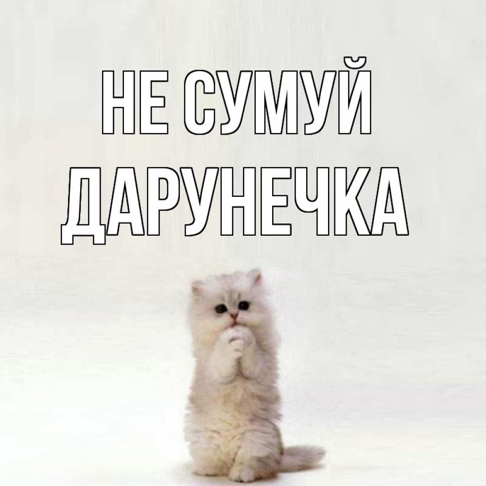 Открытка на каждый день з підписом, Дарунечка Не сумуй грустный кот Прикольна листівка з побажанням онлайн скачати безкоштовно 