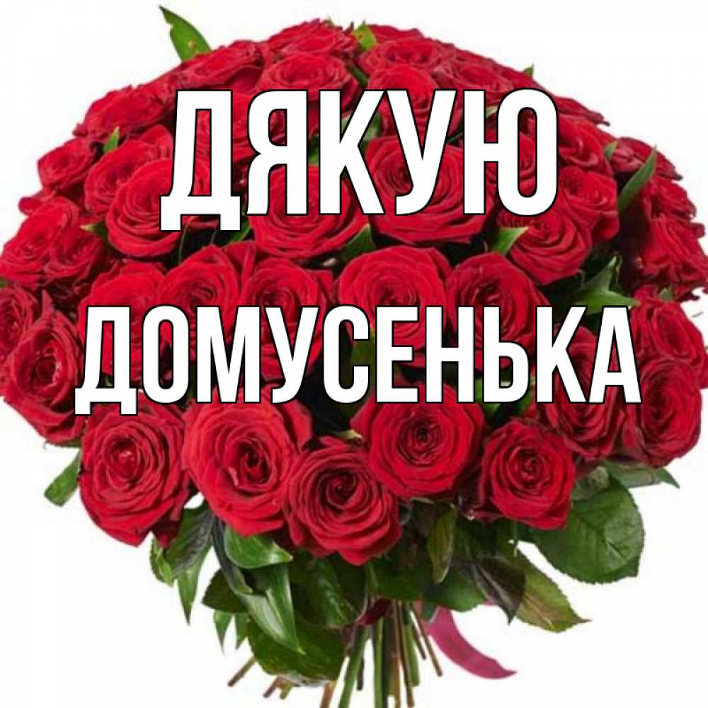 Открытка на каждый день з підписом, Домусенька Дякую букет красных роз Прикольна листівка з побажанням онлайн скачати безкоштовно 