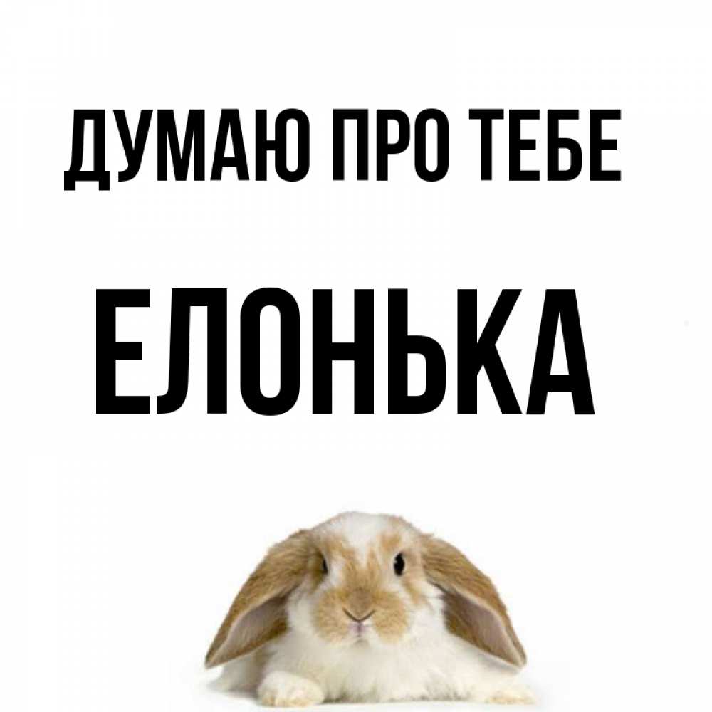 Открытка на каждый день з підписом, Елонька Думаю про тебе подписать своими руками онлайн Прикольна листівка з побажанням онлайн скачати безкоштовно 