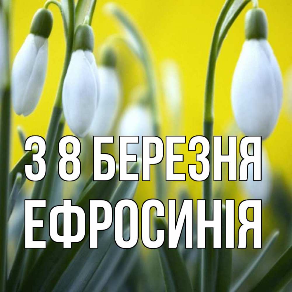 Открытка на каждый день з підписом, Ефросинія З 8 БЕРЕЗНЯ весенние цветы Прикольна листівка з побажанням онлайн скачати безкоштовно 