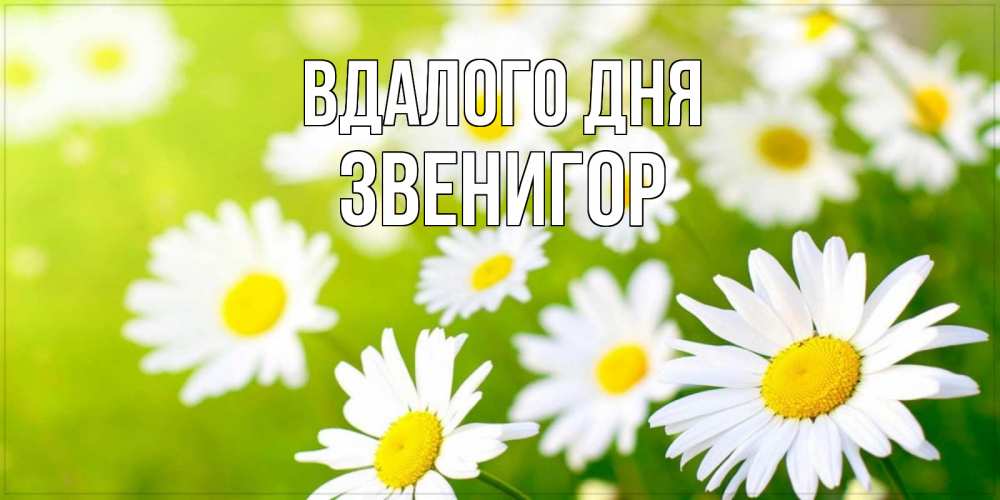 Открытка на каждый день з підписом, Звенигор Вдалого дня открытка с ромашками на зеленом фоне Прикольна листівка з побажанням онлайн скачати безкоштовно 