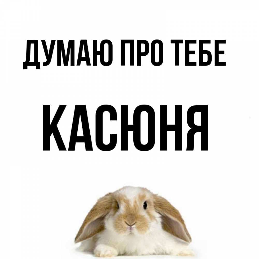 Открытка на каждый день з підписом, Касюня Думаю про тебе подписать своими руками онлайн Прикольна листівка з побажанням онлайн скачати безкоштовно 