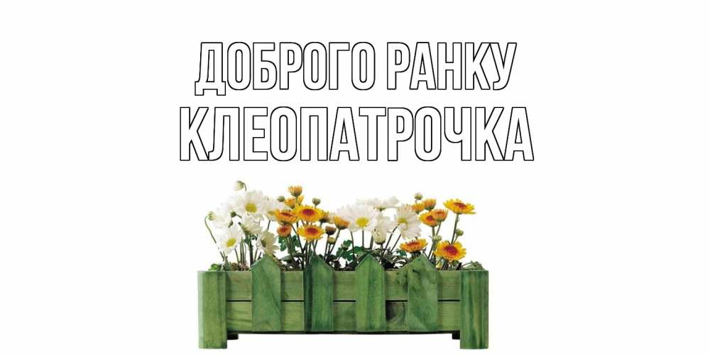Открытка на каждый день з підписом, Клеопатрочка Доброго ранку цветы Прикольна листівка з побажанням онлайн скачати безкоштовно 