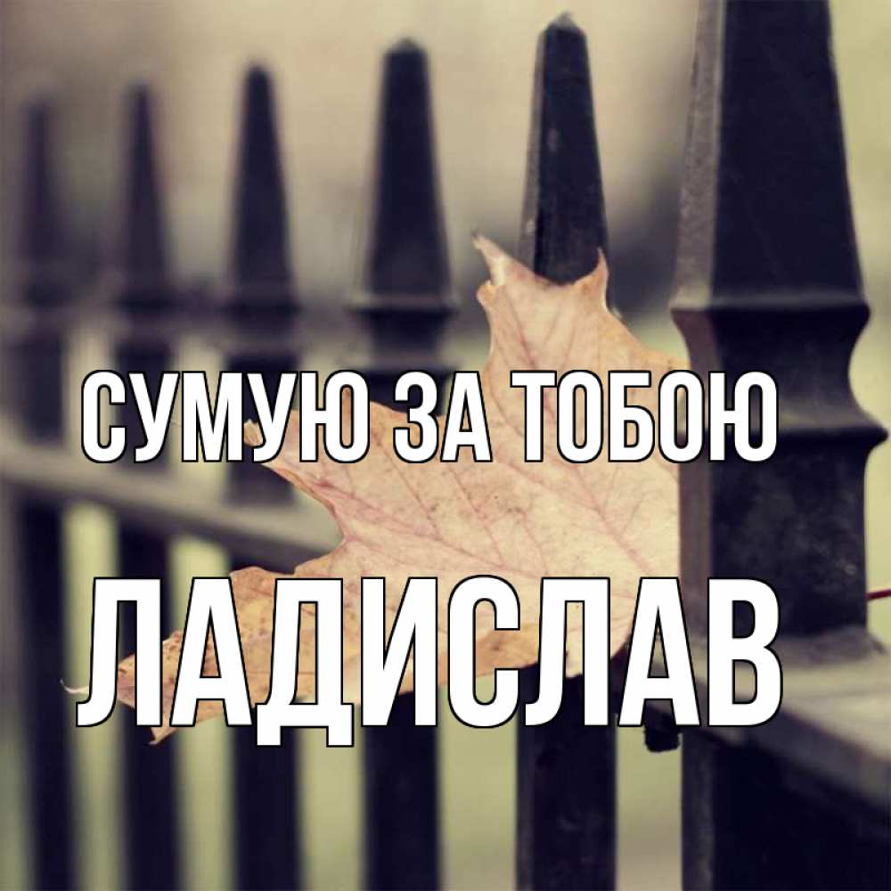 Открытка на каждый день з підписом, Ладислав Сумую за тобою очень скучно Прикольна листівка з побажанням онлайн скачати безкоштовно 