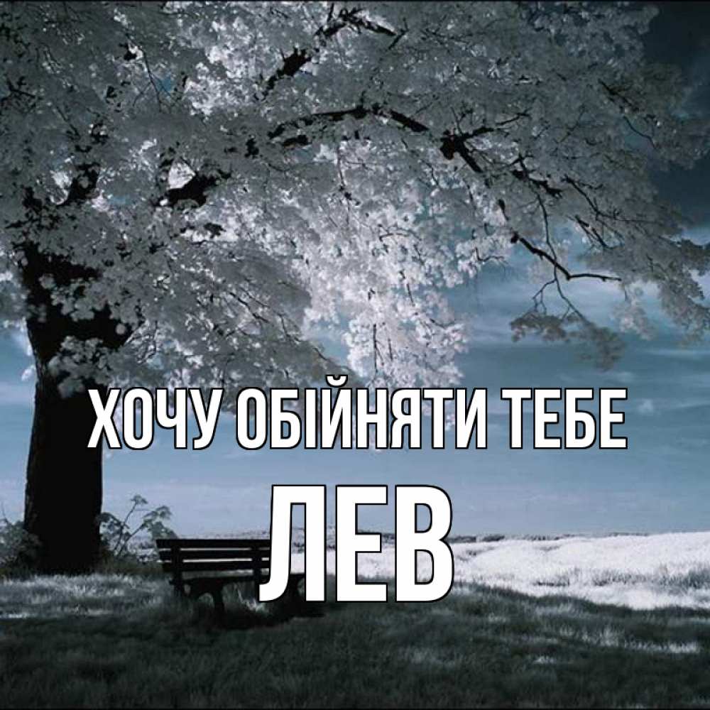 Открытка на каждый день з підписом, Лев Хочу обійняти тебе дерево Прикольна листівка з побажанням онлайн скачати безкоштовно 