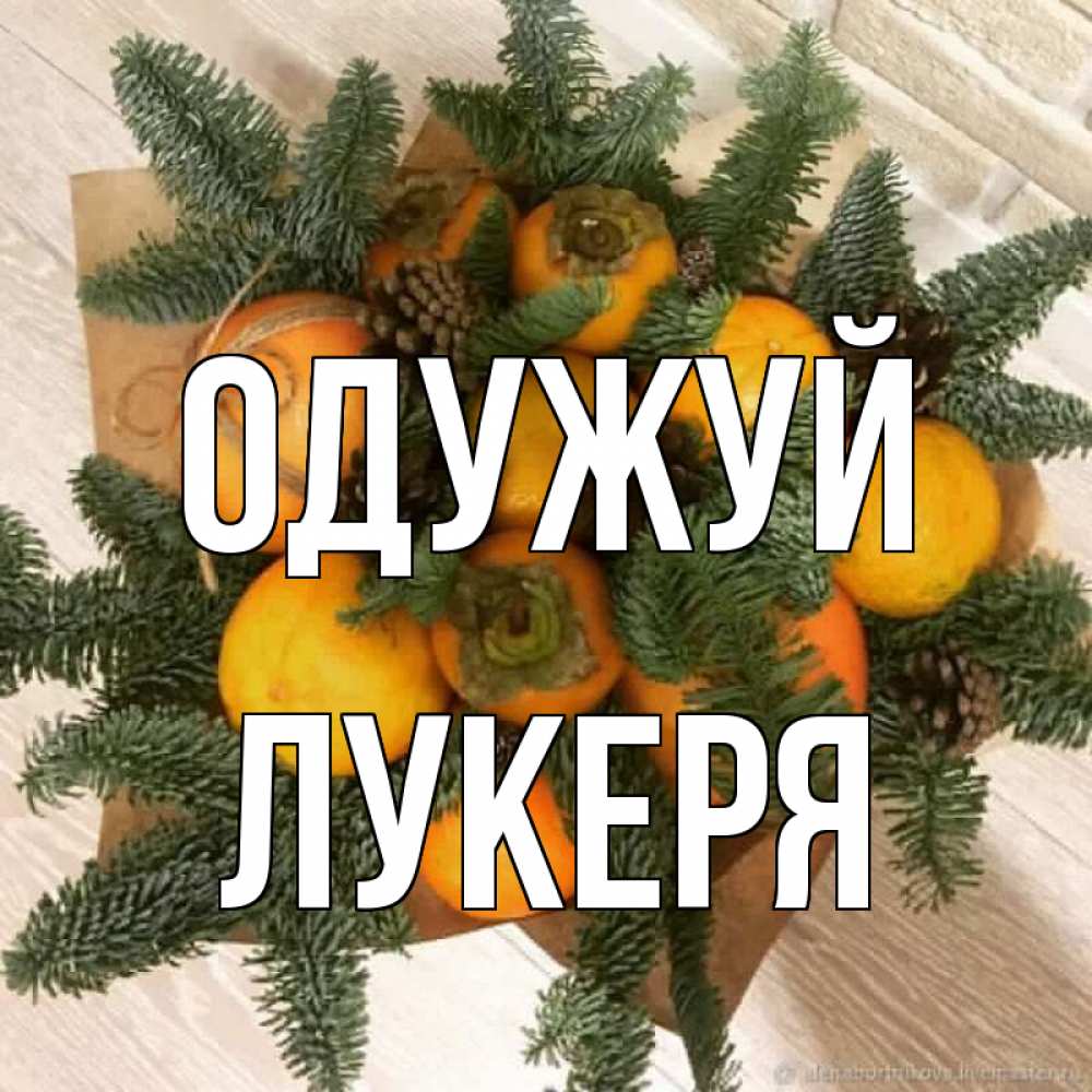 Открытка на каждый день з підписом, Лукеря Одужуй апельсины и хурьма Прикольна листівка з побажанням онлайн скачати безкоштовно 