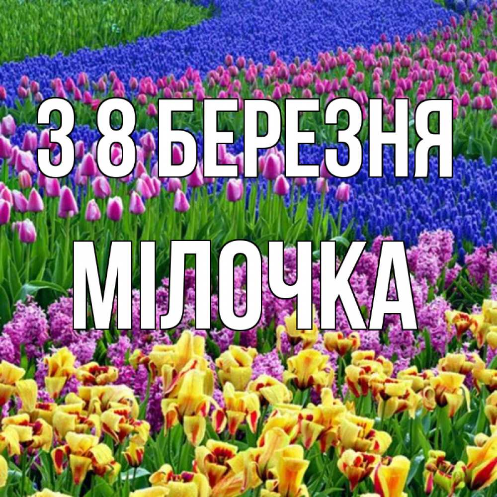 Открытка на каждый день з підписом, Мілочка З 8 БЕРЕЗНЯ цветы Прикольна листівка з побажанням онлайн скачати безкоштовно 