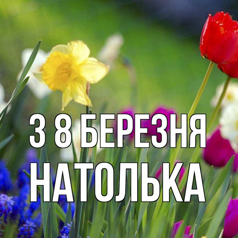 Открытка на каждый день з підписом, Натолька З 8 БЕРЕЗНЯ международный женский день 3 Прикольна листівка з побажанням онлайн скачати безкоштовно 