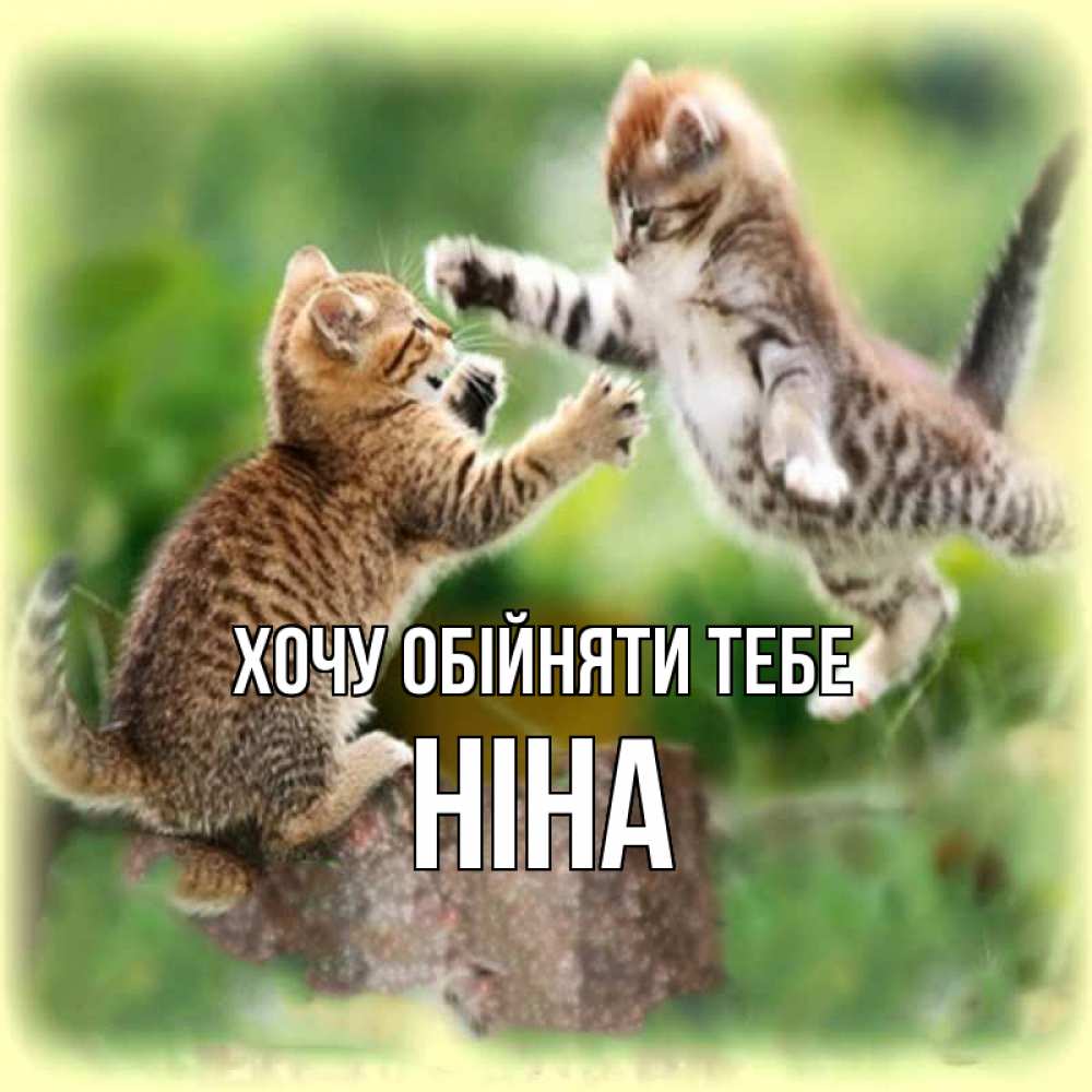 Открытка на каждый день з підписом, Ніна Хочу обійняти тебе игры котят Прикольна листівка з побажанням онлайн скачати безкоштовно 