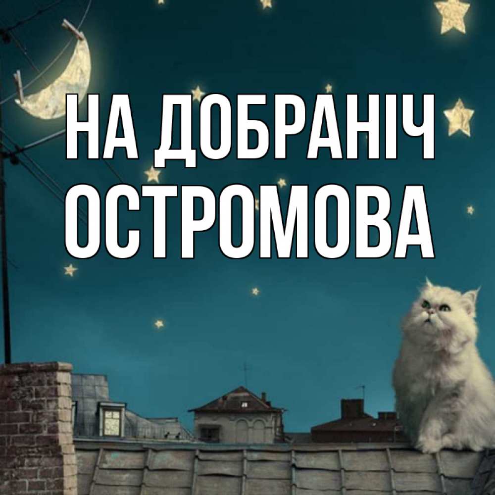 Открытка на каждый день з підписом, Остромова На добраніч белый кот сидит на крыше Прикольна листівка з побажанням онлайн скачати безкоштовно 