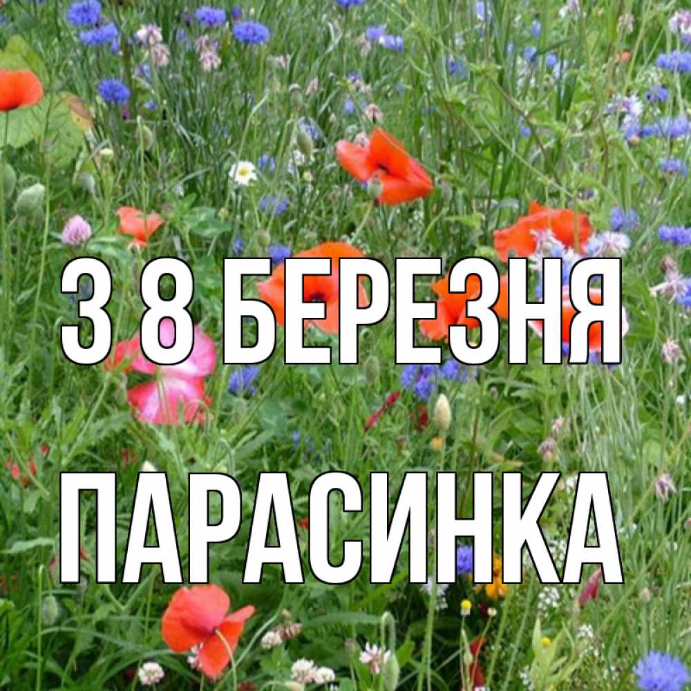 Открытка на каждый день з підписом, Парасинка З 8 БЕРЕЗНЯ международный женский день 4 Прикольна листівка з побажанням онлайн скачати безкоштовно 