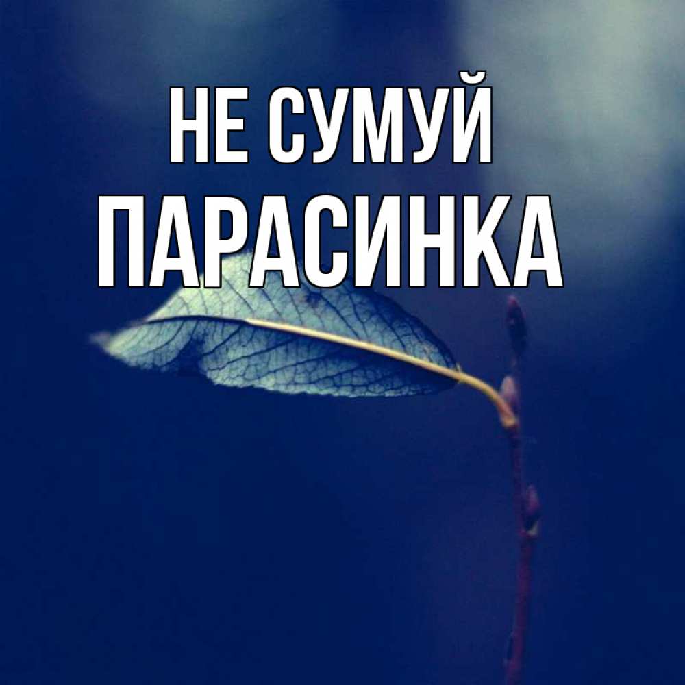 Открытка на каждый день з підписом, Парасинка Не сумуй растение Прикольна листівка з побажанням онлайн скачати безкоштовно 